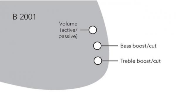 TCM 2 aktive 2-Band Elektronik (B2001)